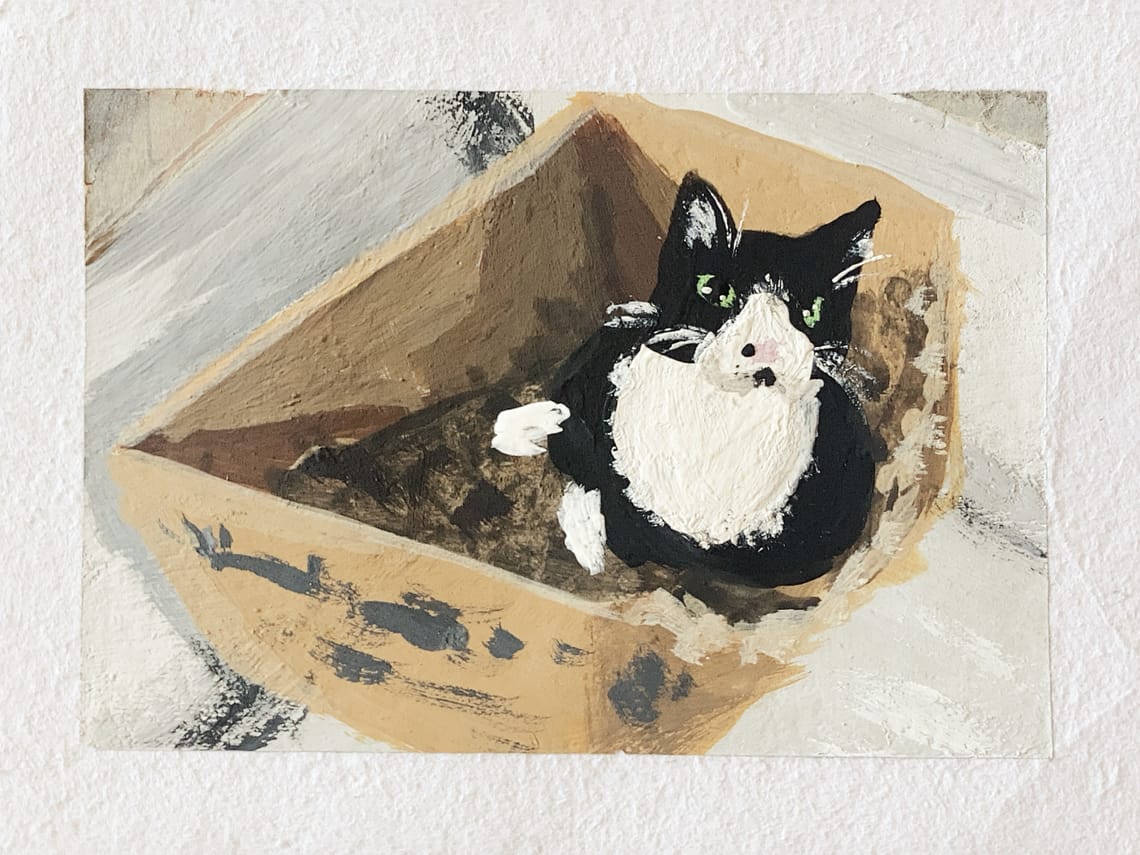 Kitten in a box