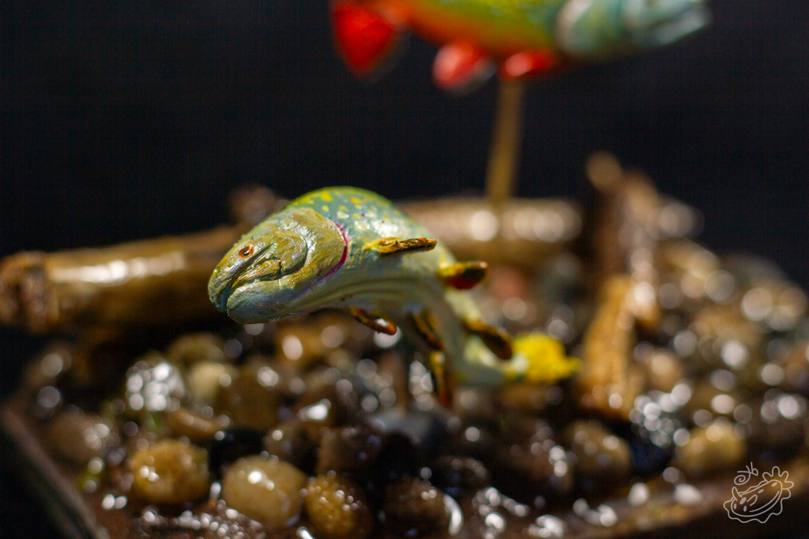 A polymer clay model of a Brook Trout. A close up of the female Brook Trout creating a nest in the pebbles.