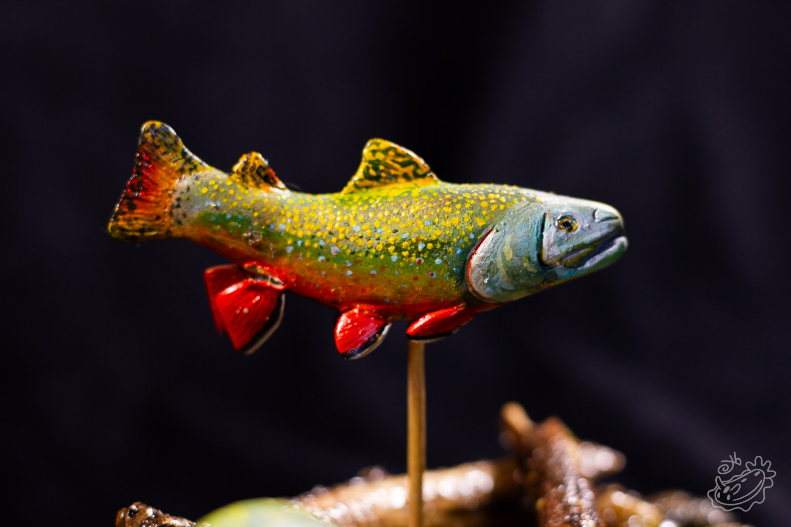 A polymer clay model of a Brook Trout. A close up of the male Brook Trout swimming above the female.